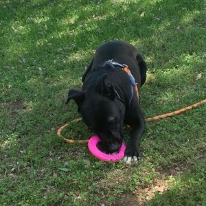 Meet your Posher, Christian